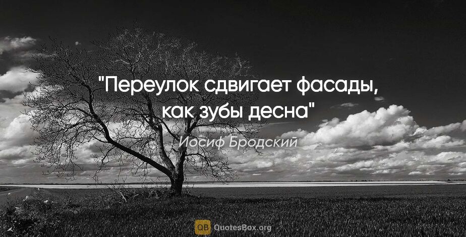 Иосиф Бродский цитата: "Переулок сдвигает фасады, как зубы десна"