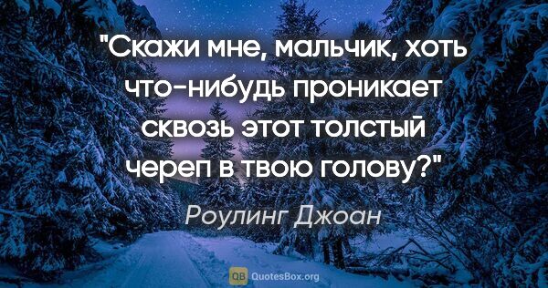 Роулинг Джоан цитата: "Скажи мне, мальчик, хоть что-нибудь проникает сквозь этот..."