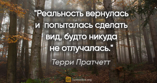 Терри Пратчетт цитата: "Реальность вернулась и  попыталась сделать вид, будто никуда..."