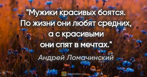 Андрей Ломачинский цитата: "Мужики красивых боятся. По жизни они любят средних, а с..."