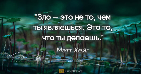 Мэтт Хейг цитата: "Зло — это не то, чем ты являешься. Это то, что ты делаешь."