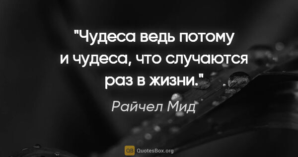 Райчел Мид цитата: "Чудеса ведь потому и чудеса, что случаются раз в жизни."