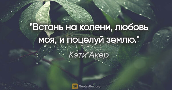 Кэти Акер цитата: "Встань на колени, любовь моя, и поцелуй землю."