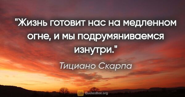 Тициано Скарпа цитата: "Жизнь готовит нас на медленном огне, и мы подрумяниваемся..."