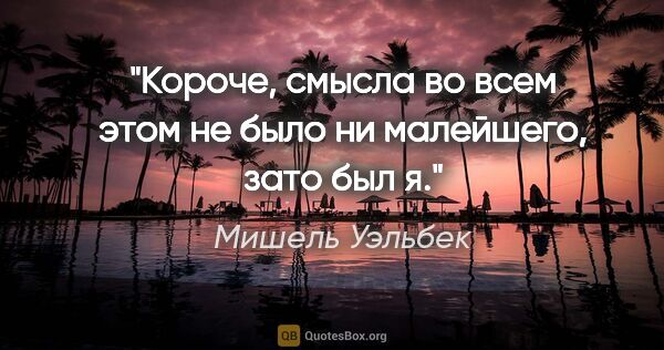 Мишель Уэльбек цитата: "Короче, смысла во всем этом не было ни малейшего, зато был я."