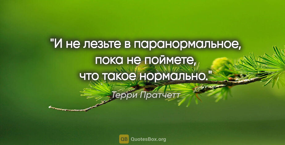 Терри Пратчетт цитата: "И не лезьте в паранормальное, пока не поймете, что такое..."