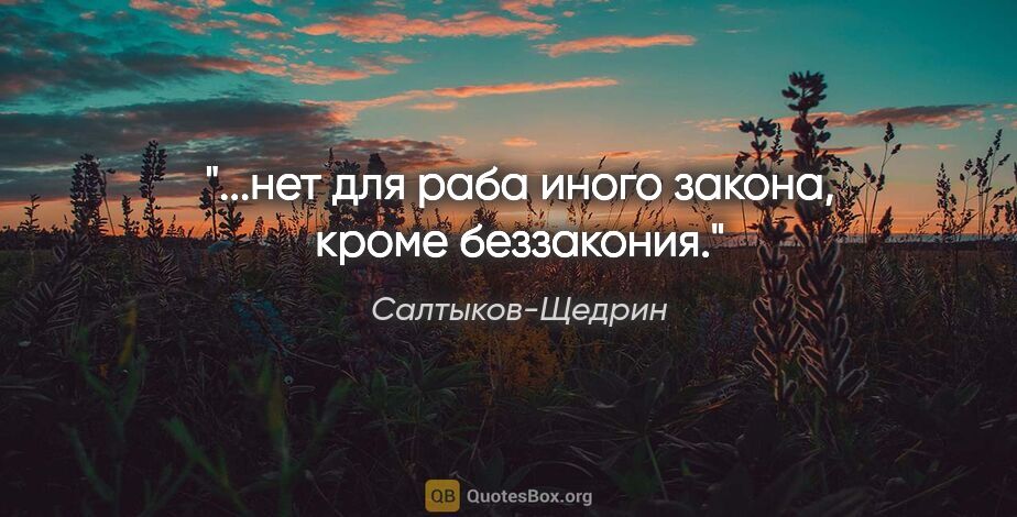 Салтыков-Щедрин цитата: "...нет для раба иного закона, кроме беззакония."