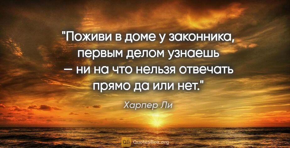 Харпер Ли цитата: "Поживи в доме у законника, первым делом узнаешь — ни на что..."