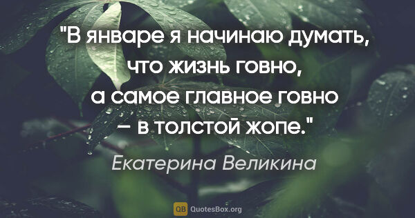 Екатерина Великина цитата: "В январе я начинаю думать, что жизнь говно, а самое главное..."