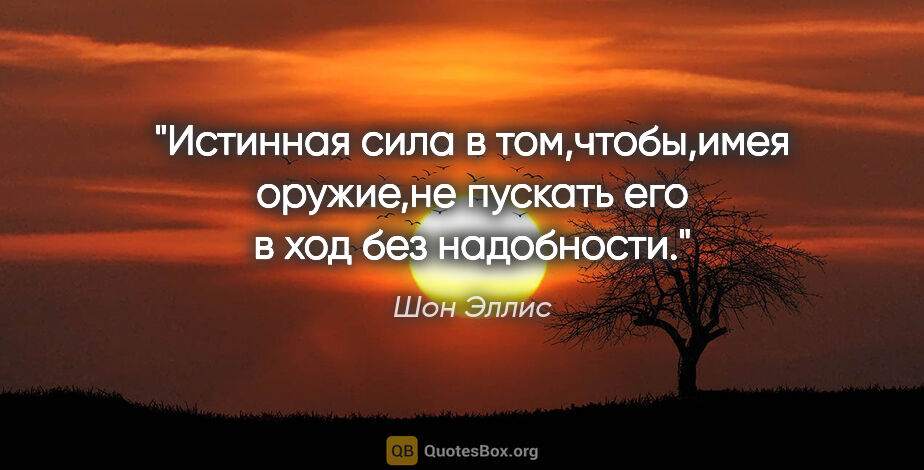 Шон Эллис цитата: "Истинная сила в том,чтобы,имея оружие,не пускать его в ход без..."