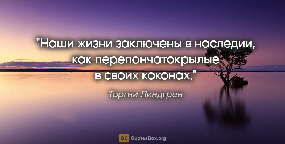 Торгни Линдгрен цитата: "Наши жизни заключены в наследии, как перепончатокрылые в своих..."