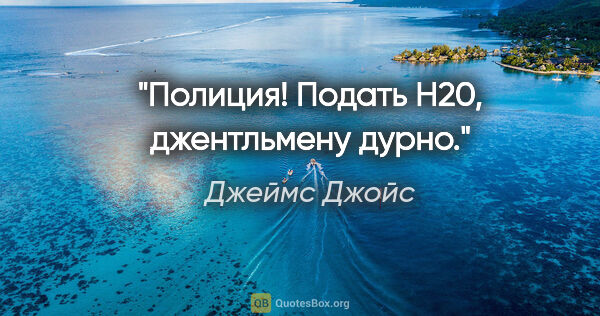 Джеймс Джойс цитата: "Полиция! Подать H20, джентльмену дурно."