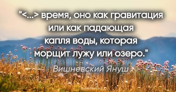 Вишневский Януш цитата: "<...> время, оно как гравитация или как падающая капля воды,..."