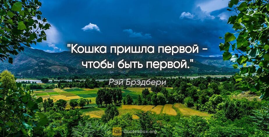 Рэй Брэдбери цитата: "Кошка пришла первой - чтобы быть первой."