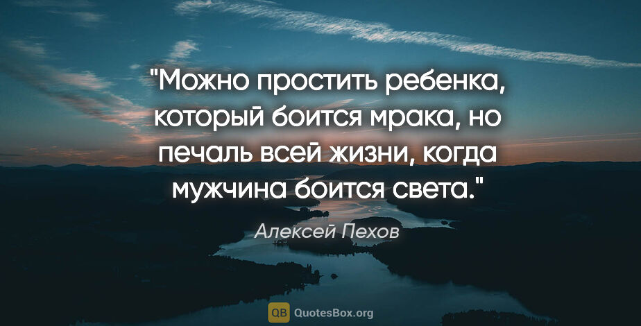 Алексей Пехов цитата: "Можно простить ребенка, который боится мрака, но печаль всей..."