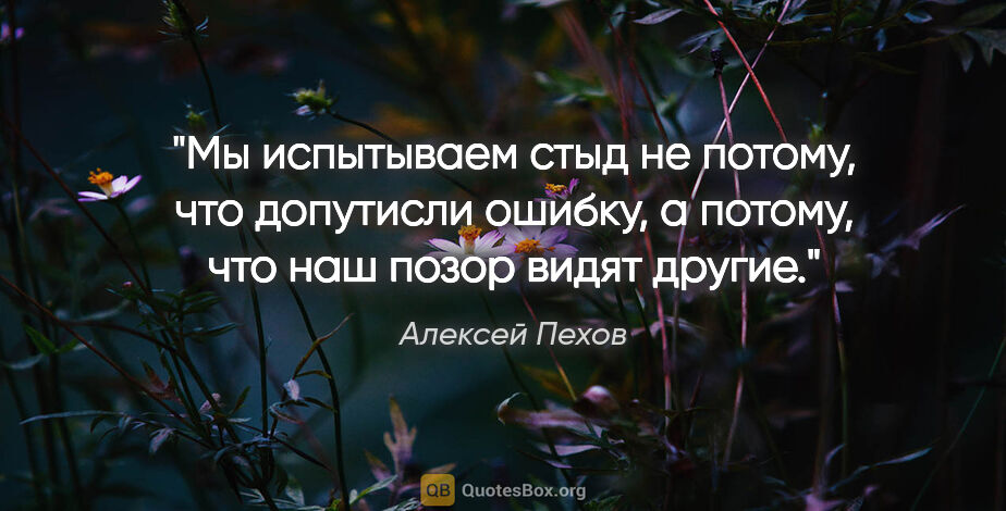 Алексей Пехов цитата: "Мы испытываем стыд не потому, что допутисли ошибку, а потому,..."