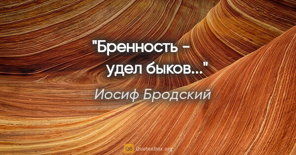 Иосиф Бродский цитата: "Бренность -

        удел быков..."