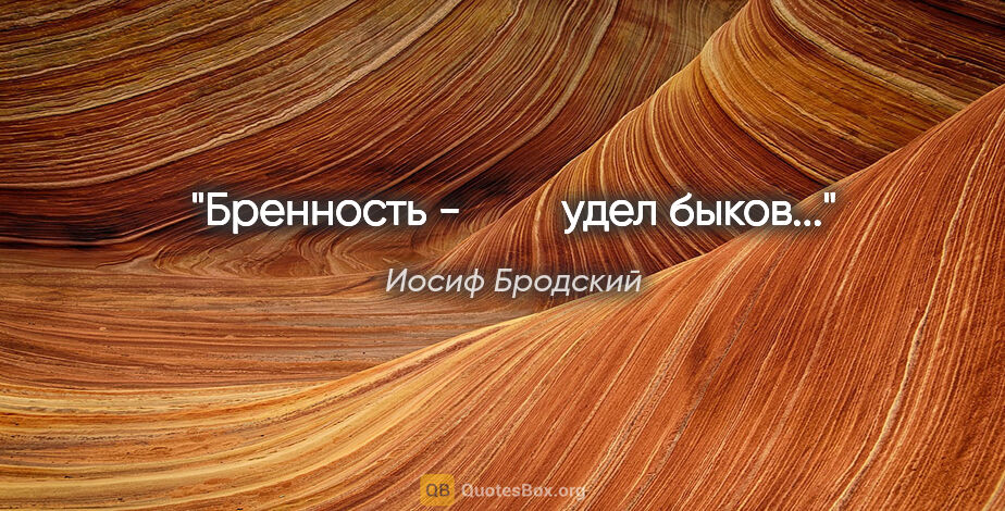 Иосиф Бродский цитата: "Бренность -

        удел быков..."