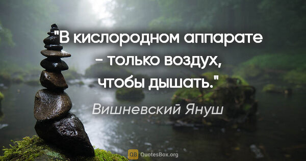 Вишневский Януш цитата: "В кислородном аппарате - только воздух, чтобы дышать."