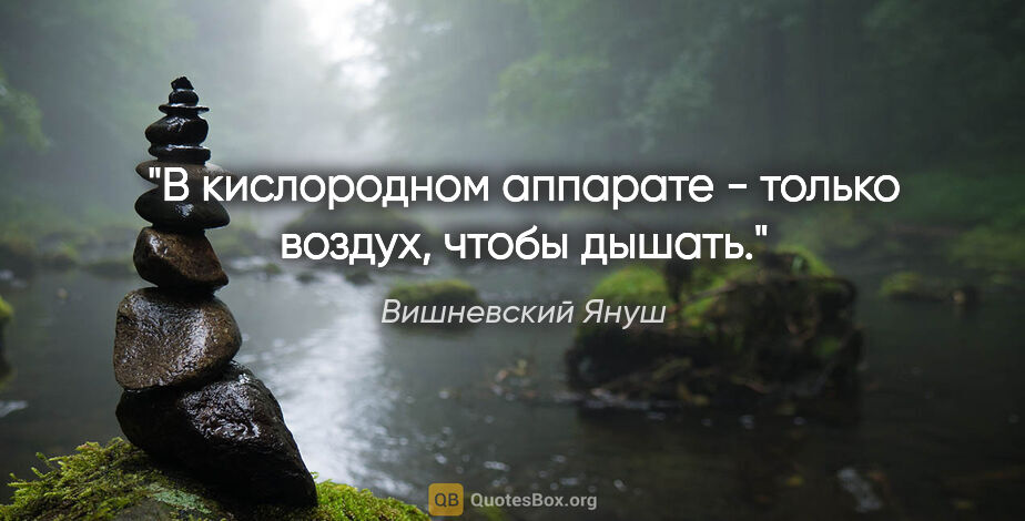 Вишневский Януш цитата: "В кислородном аппарате - только воздух, чтобы дышать."
