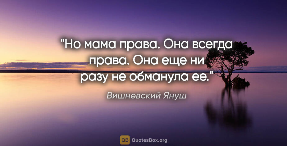 Вишневский Януш цитата: "Но мама права. Она всегда права. Она еще ни разу не обманула ее."