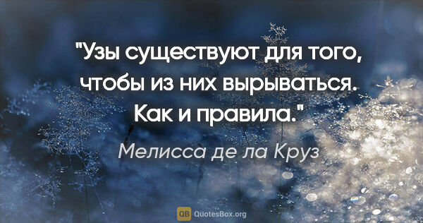 Мелисса де ла Круз цитата: "«Узы существуют для того, чтобы из них вырываться. Как и..."