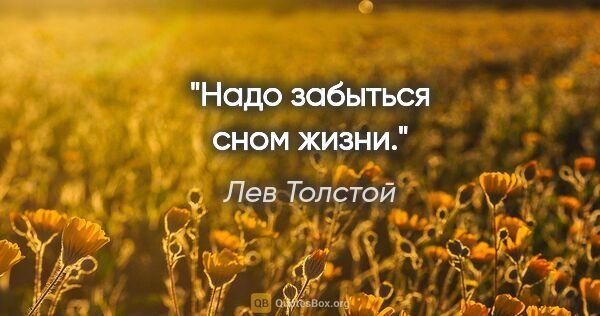 Лев Толстой цитата: "Надо забыться сном жизни."