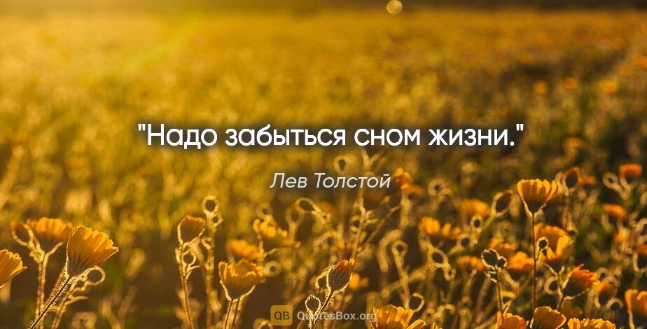 Лев Толстой цитата: "Надо забыться сном жизни."