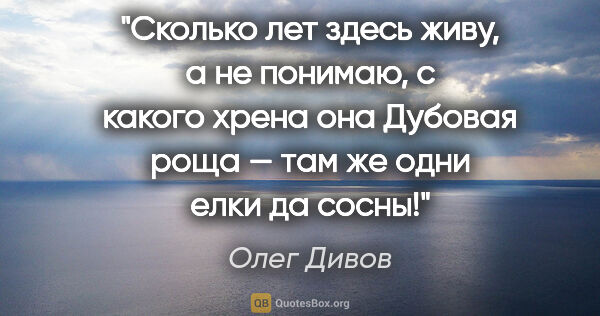 Олег Дивов цитата: "Сколько лет здесь живу, а не понимаю, с какого хрена она..."