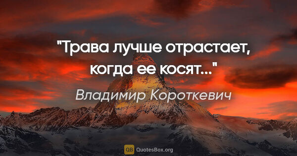 Владимир Короткевич цитата: "Трава лучше отрастает, когда ее косят..."