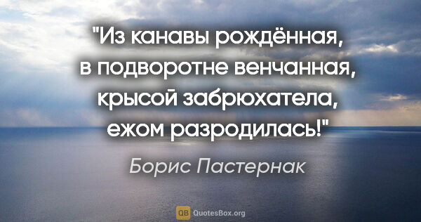 Борис Пастернак цитата: "Из канавы рождённая, в подворотне венчанная, крысой..."