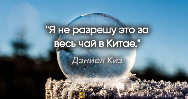 Дэниел Киз цитата: "Я не разрешу это за весь чай в Китае."