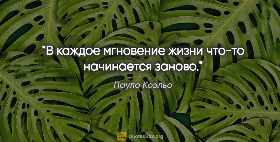 Пауло Коэльо цитата: "В каждое мгновение жизни что-то начинается заново."