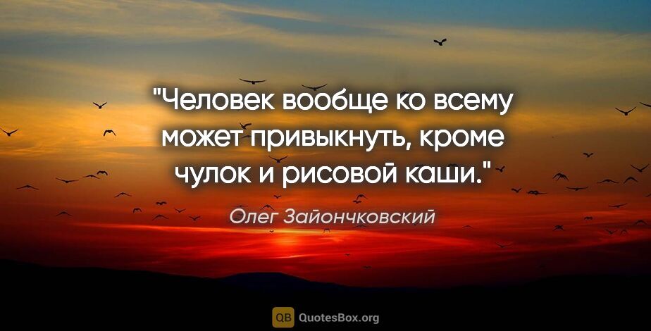 Олег Зайончковский цитата: "Человек вообще ко всему может привыкнуть, кроме чулок и..."