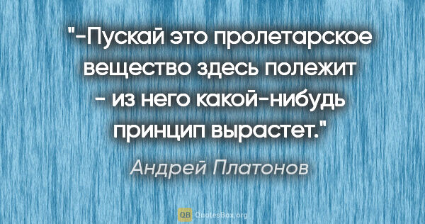 Андрей Платонов цитата: "-Пускай это пролетарское вещество здесь полежит - из него..."