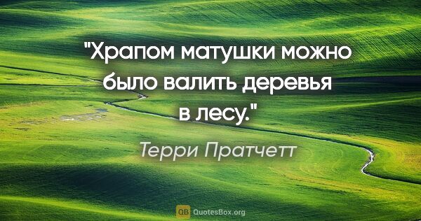 Терри Пратчетт цитата: "Храпом матушки можно было валить деревья в лесу."