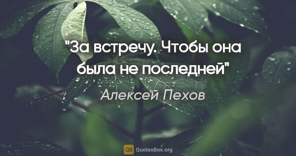 Алексей Пехов цитата: "За встречу. Чтобы она была не последней"