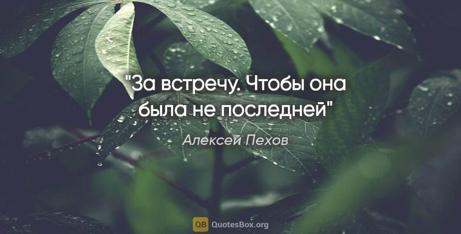 Алексей Пехов цитата: "За встречу. Чтобы она была не последней"