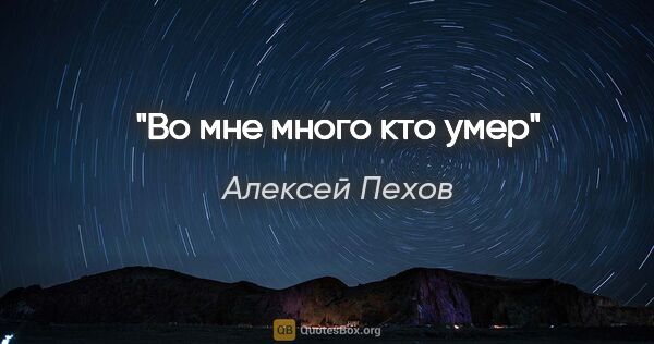 Алексей Пехов цитата: "Во мне много кто умер"
