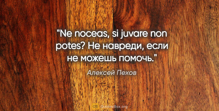 Алексей Пехов цитата: "«Ne noceas, si juvare non potes»? Не навреди, если не можешь..."