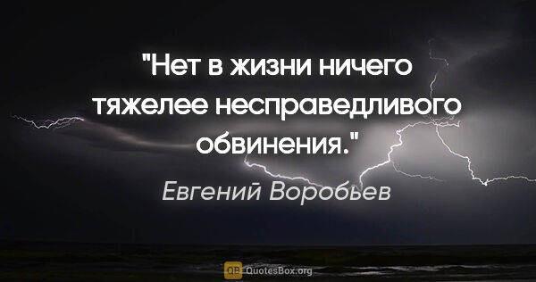 Евгений Воробьев цитата: "Нет в жизни ничего тяжелее несправедливого обвинения."