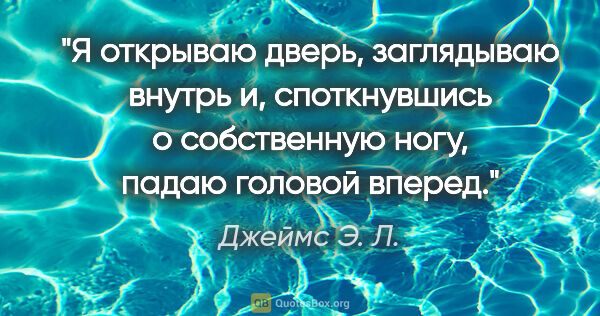 Джеймс Э. Л. цитата: "Я открываю дверь, заглядываю внутрь и, споткнувшись о..."