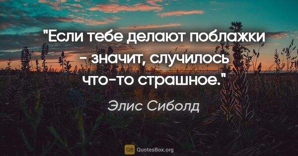 Элис Сиболд цитата: "Если тебе делают поблажки - значит, случилось что-то страшное."