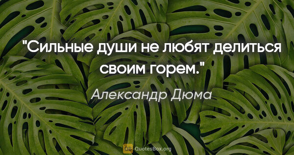 Александр Дюма цитата: "Сильные души не любят делиться своим горем."