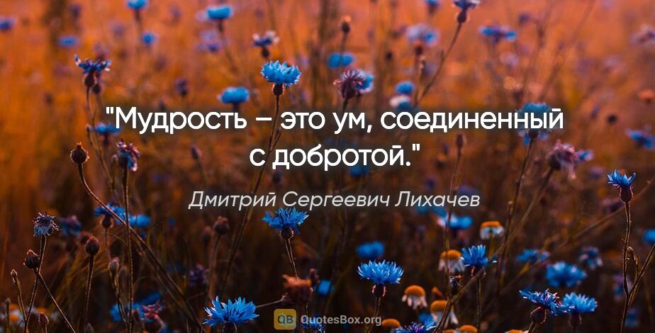 Дмитрий Сергеевич Лихачев цитата: "Мудрость – это ум, соединенный с добротой."