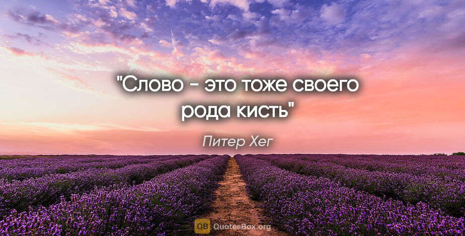 Питер Хег цитата: "Слово - это тоже своего рода кисть"