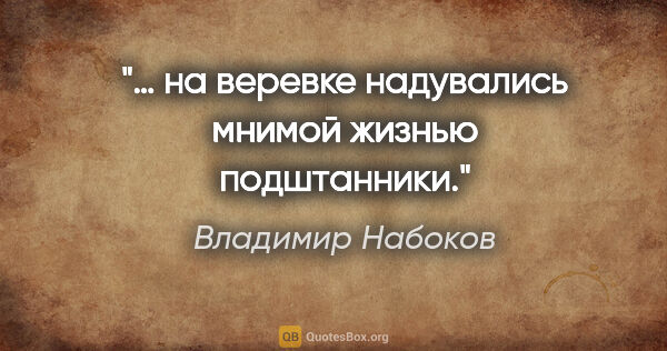 Владимир Набоков цитата: "… на веревке надувались мнимой жизнью подштанники."