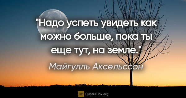 Майгулль Аксельссон цитата: "Надо успеть увидеть как можно больше, пока ты еще тут, на земле."