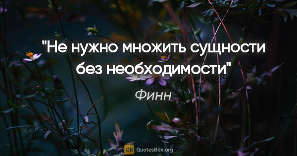 Финн цитата: "Не нужно множить сущности без необходимости"