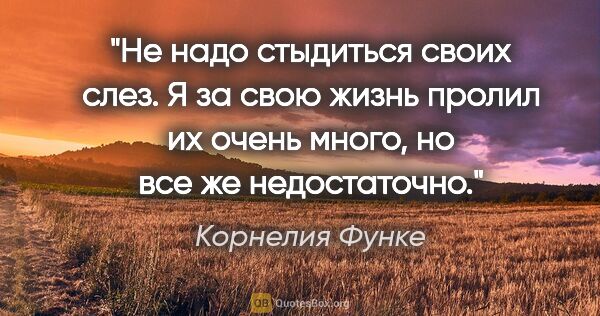 Корнелия Функе цитата: "Не надо стыдиться своих слез. Я за свою жизнь пролил их очень..."